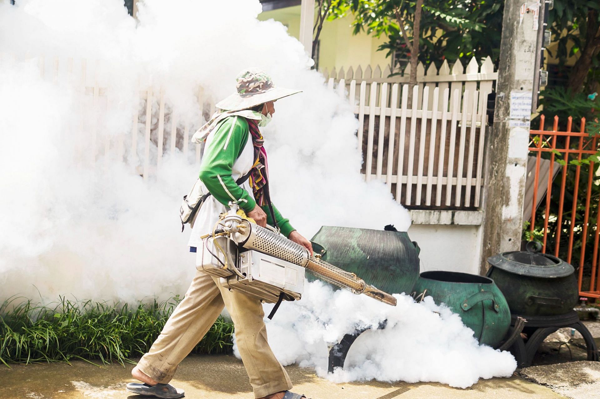 Keep your surroundings clean and mosquito-free (Image by jcomp on Freepik)